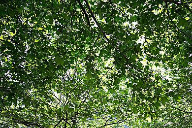 《赛博朋克2077》续作画面将很逼真 电影与游戏融合